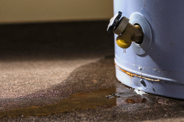 Best 24/7 water damage repair  in Andale, KS