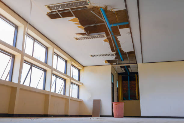 Best Water damage restoration near me  in Andale, KS