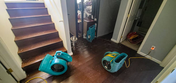 Best Carpet water damage restoration  in Andale, KS