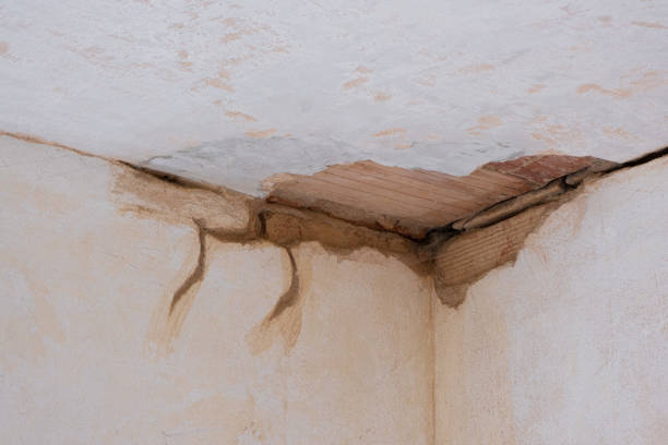 Best Commercial water damage restoration  in Andale, KS