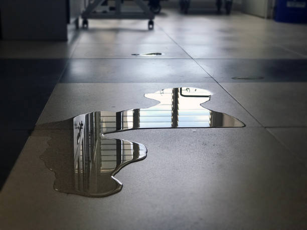 Professional Water damage restoration in Andale, KS