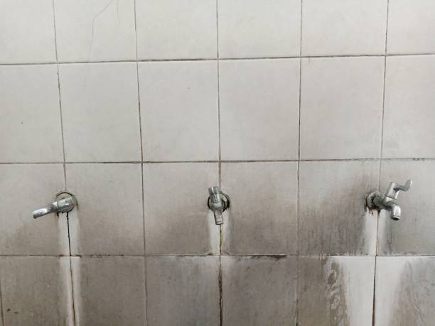 Best Water damage contractors near me  in Andale, KS