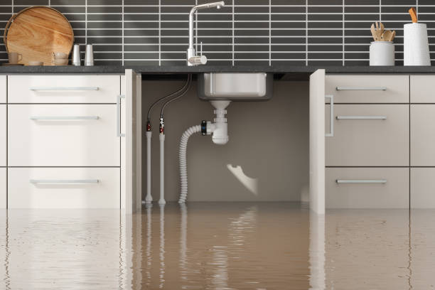 Best Water damage restoration specialists  in Andale, KS