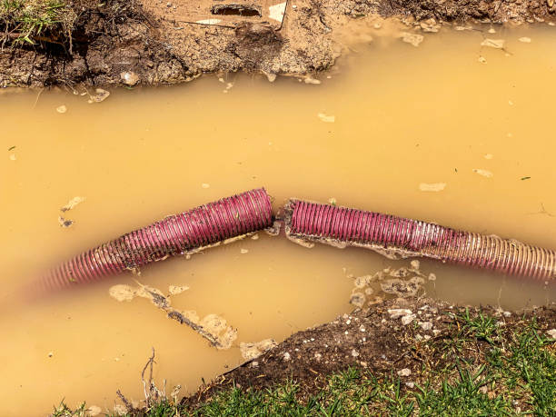 Best Water damage cleanup near me  in Andale, KS