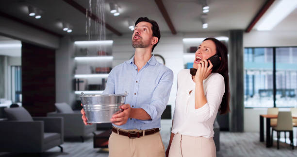 Best Flood damage cleanup  in Andale, KS