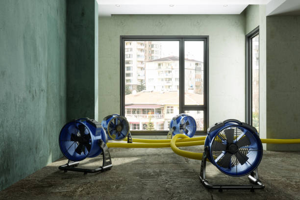 Best Fire Damage Restoration  in Andale, KS