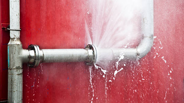 Best Ceiling water damage repair  in Andale, KS