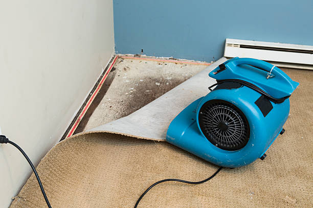 Best Local water damage restoration  in Andale, KS